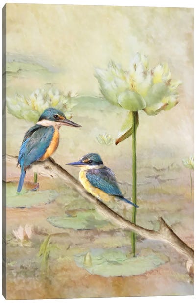Sacred Kingfisher Canvas Art Print - Trudi Simmonds