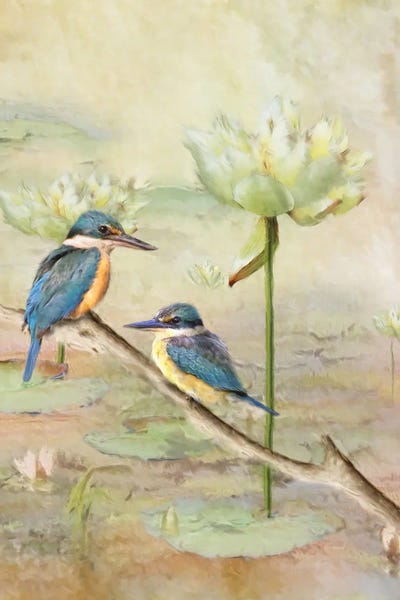 Kingfishers: Sacred Kingfisher by Trudi Simmonds