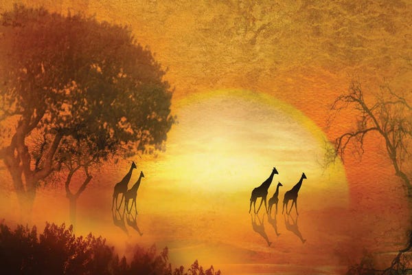 Giraffes: Serenade Of The Serengeti by Trudi Simmonds