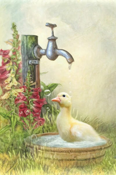 Ducks: Splish Splash by Trudi Simmonds