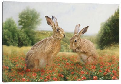 Spring Hare Canvas Art Print - Trudi Simmonds