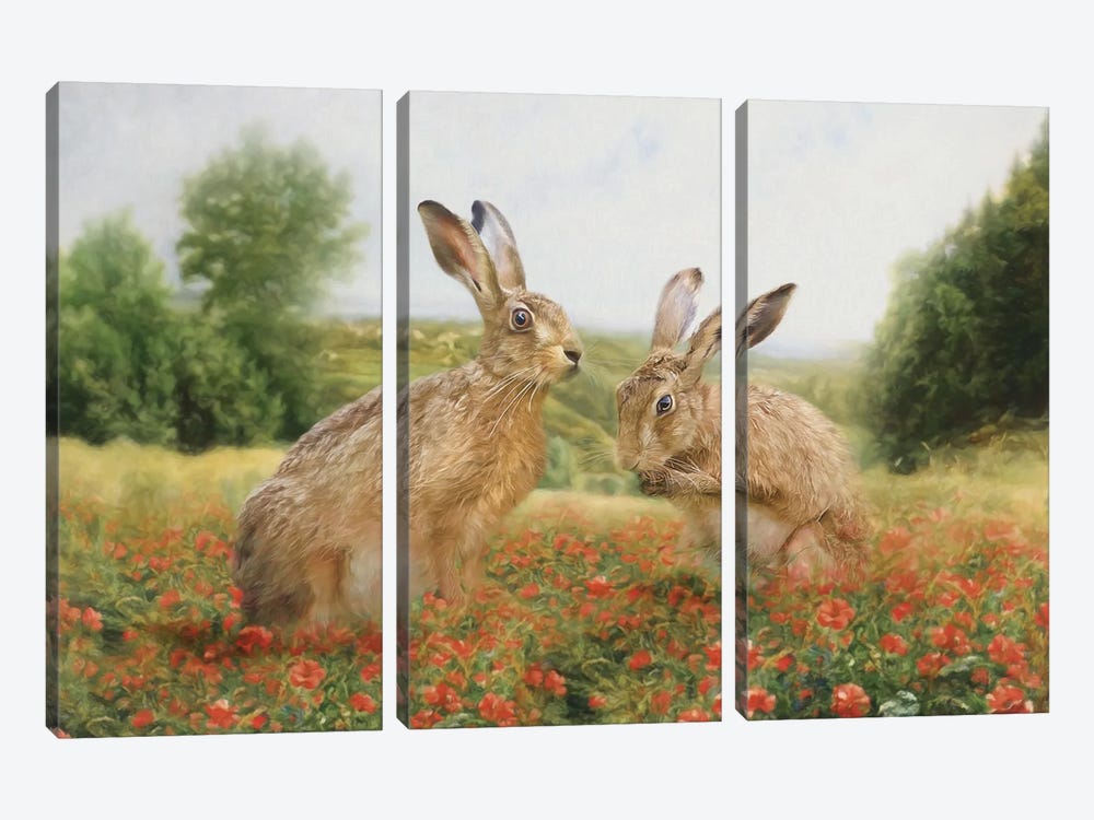 Spring Hare by Trudi Simmonds 3-piece Canvas Art