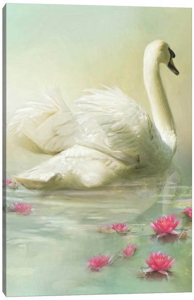 Swan Song Canvas Art Print - Trudi Simmonds