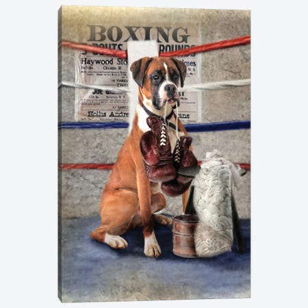 The Boxer Canvas Print #TRO90} by Trudi Simmonds Art Print