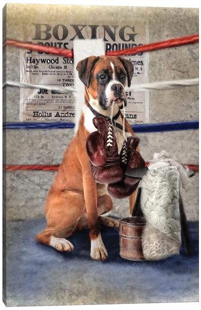 The Boxer Canvas Art Print - Boxer Art