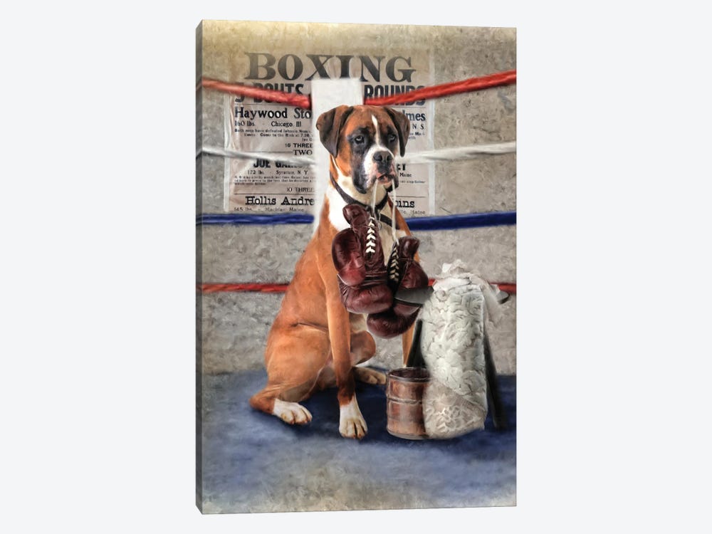 The Boxer by Trudi Simmonds 1-piece Canvas Art Print
