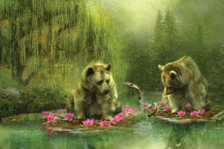 Bear Dreaming