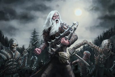 Shaman Väinämöinen by Tero Porthan canvas print