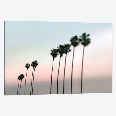 Rosey Palms Canvas Print #TRT17} by Tracey Telik Canvas Print