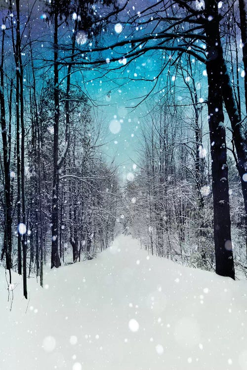 Snowhere by Tracey Telik wall art
