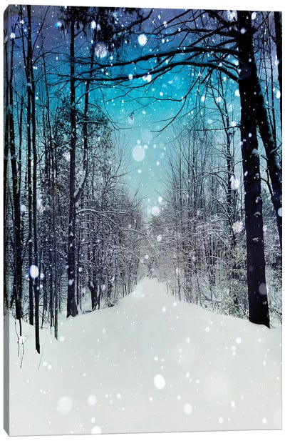 Snowhere Canvas Art Print - Winter Wonderland