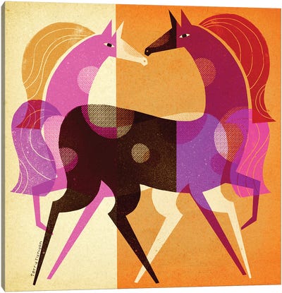 Equestrian Dream Canvas Art Print - Terry Runyan