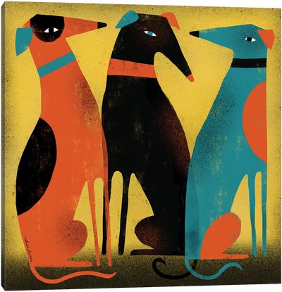 Greyhounds Canvas Art Print - Greyhound Art