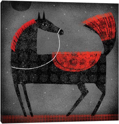 Red Saddle Canvas Art Print - Terry Runyan