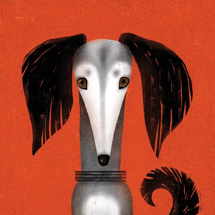 Saluki