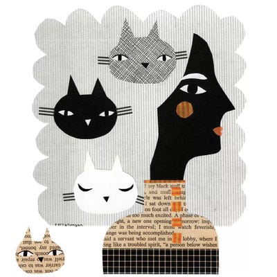 Stray Cat by Terry Runyan canvas print