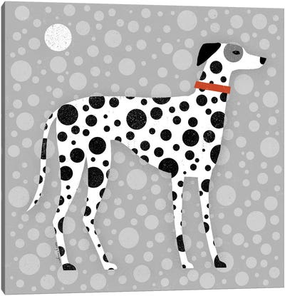 Dalmatian Canvas Art Print - Terry Runyan