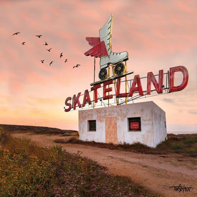 Skateland by Tim Schmidt framed wall art