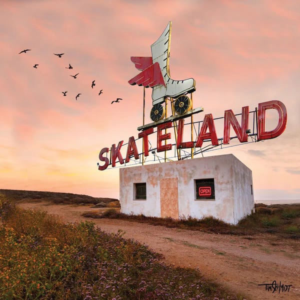 Rollerblading & Roller Skating: Skateland by Tim Schmidt