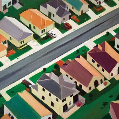 Northeast Suburb by Toni Silber-Delerive canvas print