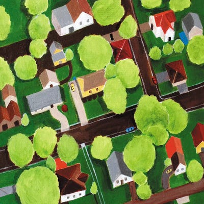 Jackson County by Toni Silber-Delerive canvas print