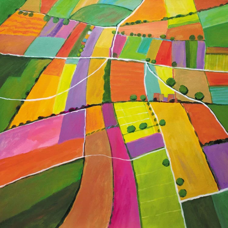 Summer Fields by Toni Silber-Delerive wall art