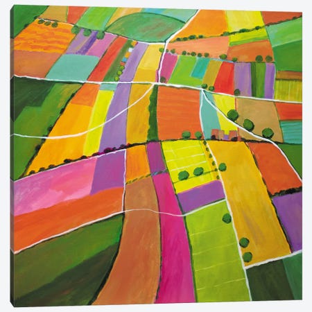 Summer Fields Canvas Print #TSD82} by Toni Silber-Delerive Canvas Wall Art