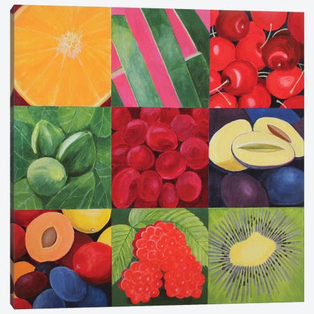 Fruit Medley Canvas Print #TSD98} by Toni Silber-Delerive Canvas Print