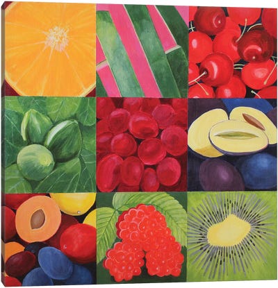 Fruit Medley Canvas Art Print - Toni Silber-Delerive
