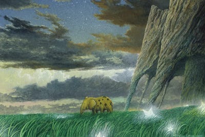 Grassland Of The Magic by Toshio Ebine canvas print