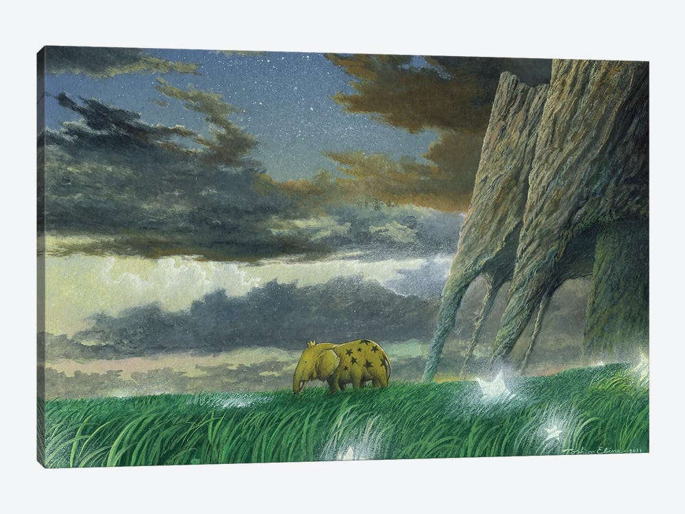 Grassland Of The Magic by Toshio Ebine 1-piece Canvas Artwork