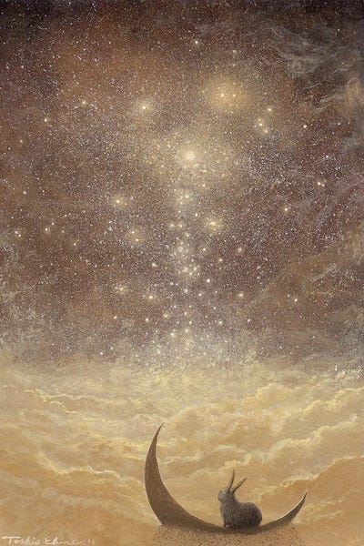 Astronomy & Space: Star Falls by Toshio Ebine