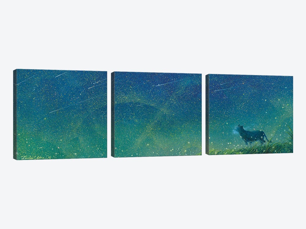 Starry Wind by Toshio Ebine 3-piece Art Print