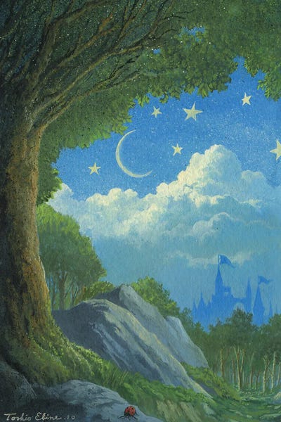 Ladybugs: Ladybug's Adventure by Toshio Ebine