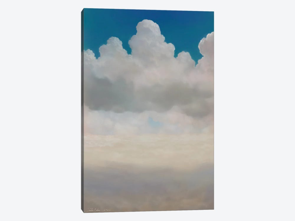 Cloudscape And A Good Day by Toshio Ebine 1-piece Canvas Wall Art