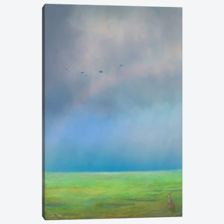 The Unknown Is With The Rain Canvas Print #TSE143} by Toshio Ebine Canvas Art Print