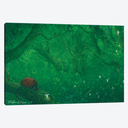They Would Welcome Canvas Print #TSE45} by Toshio Ebine Canvas Wall Art