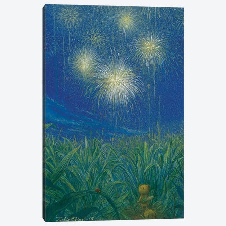 Fireworks Of Cornfield Canvas Print #TSE48} by Toshio Ebine Canvas Print