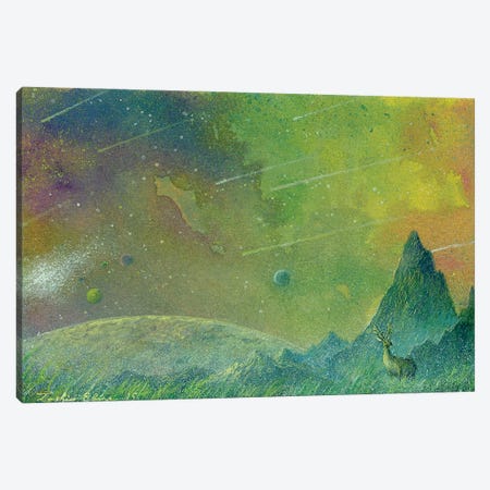 Near The Nebular Canvas Print #TSE49} by Toshio Ebine Canvas Art Print