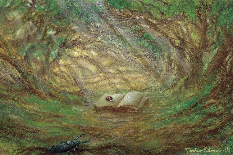 The Little Book In The Small Forest