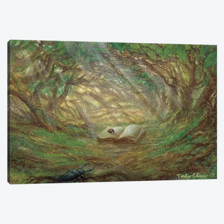 The Little Book In The Small Forest Canvas Print #TSE64} by Toshio Ebine Canvas Art