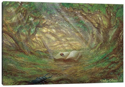 The Little Book In The Small Forest Canvas Art Print - Toshio Ebine