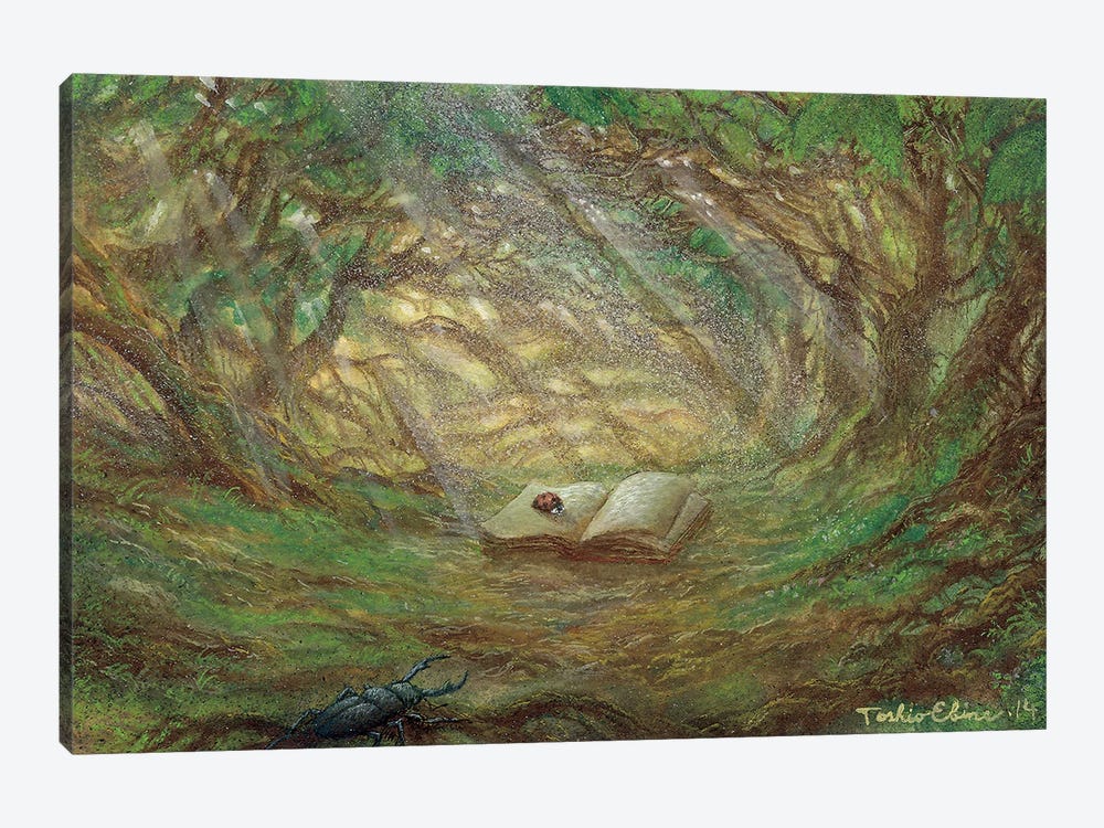 The Little Book In The Small Forest by Toshio Ebine 1-piece Canvas Artwork