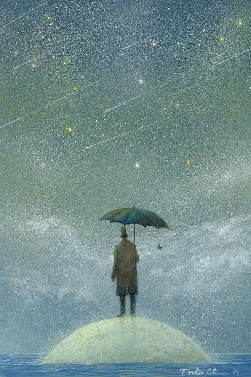 Observer Of Meteor Rain by Toshio Ebine wall art