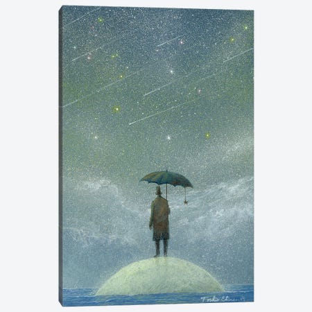 Observer Of Meteor Rain Canvas Print #TSE71} by Toshio Ebine Canvas Art