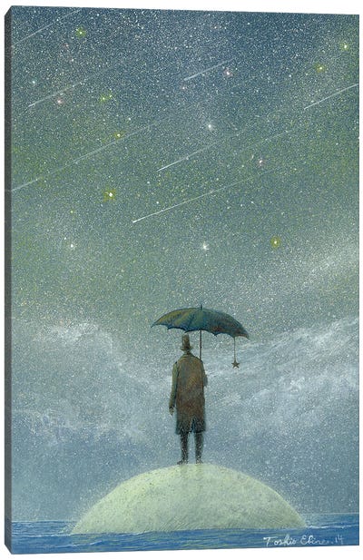 Observer Of Meteor Rain Canvas Art Print