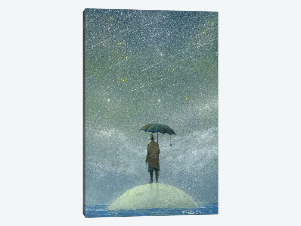 Observer Of Meteor Rain by Toshio Ebine 1-piece Canvas Art
