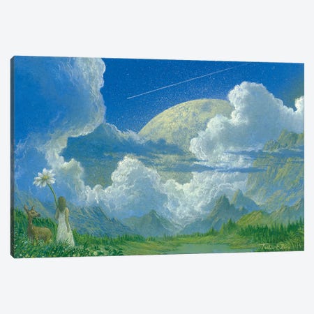 One Day A Meteor Of Somewhere Canvas Print #TSE72} by Toshio Ebine Canvas Art