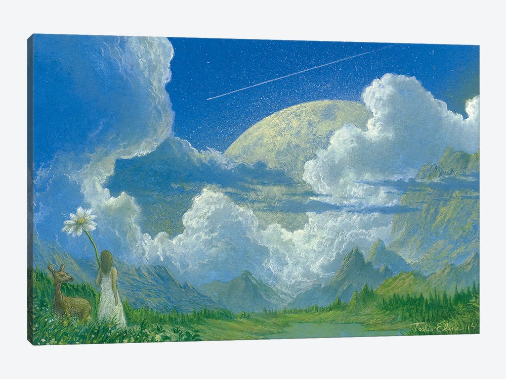 One Day A Meteor Of Somewhere by Toshio Ebine 1-piece Canvas Art Print