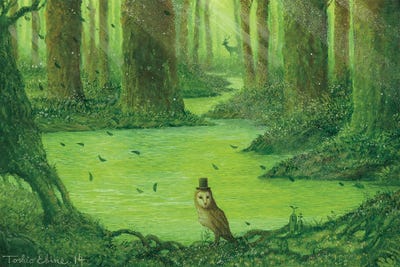 Tranquility Man by Toshio Ebine canvas print